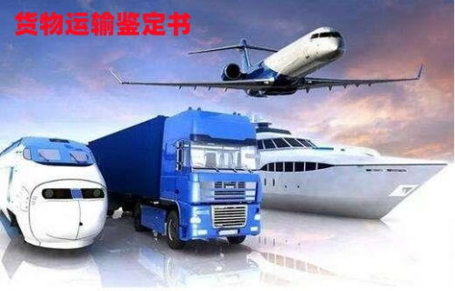 貨物運輸條件鑒定書 辦理途徑與現場鑒定適用范圍詳解
