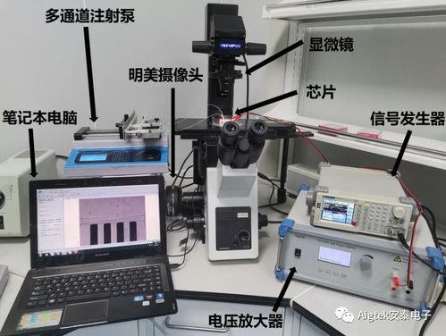 功率放大器在生物醫(yī)學領域測試研究中的應用與前景